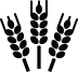 h4-slider1-img-51.png